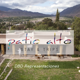 Patio Alto premio a la excelencia